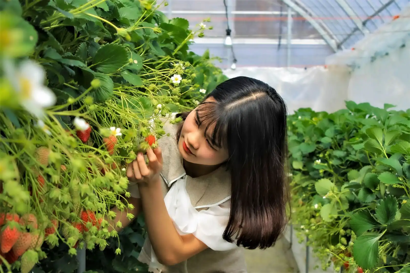 成都企业数字化转型中的软件开发服务模式分析