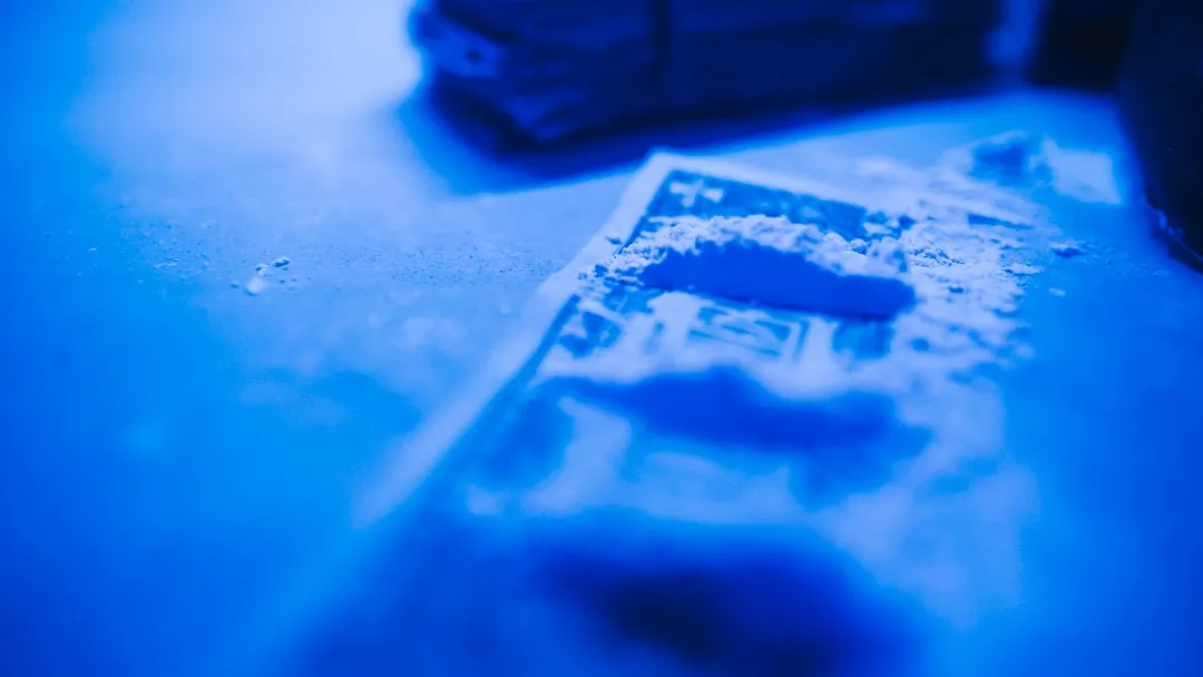 成都来岁科技软件开发与技术服务能力全景解析
